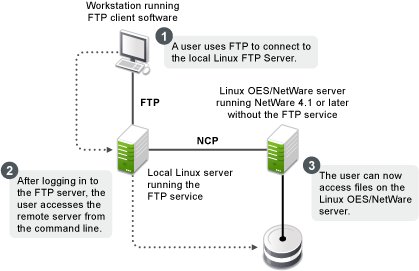 FTP (Pure-FTPd) and OES - Planning and Implementation Guide