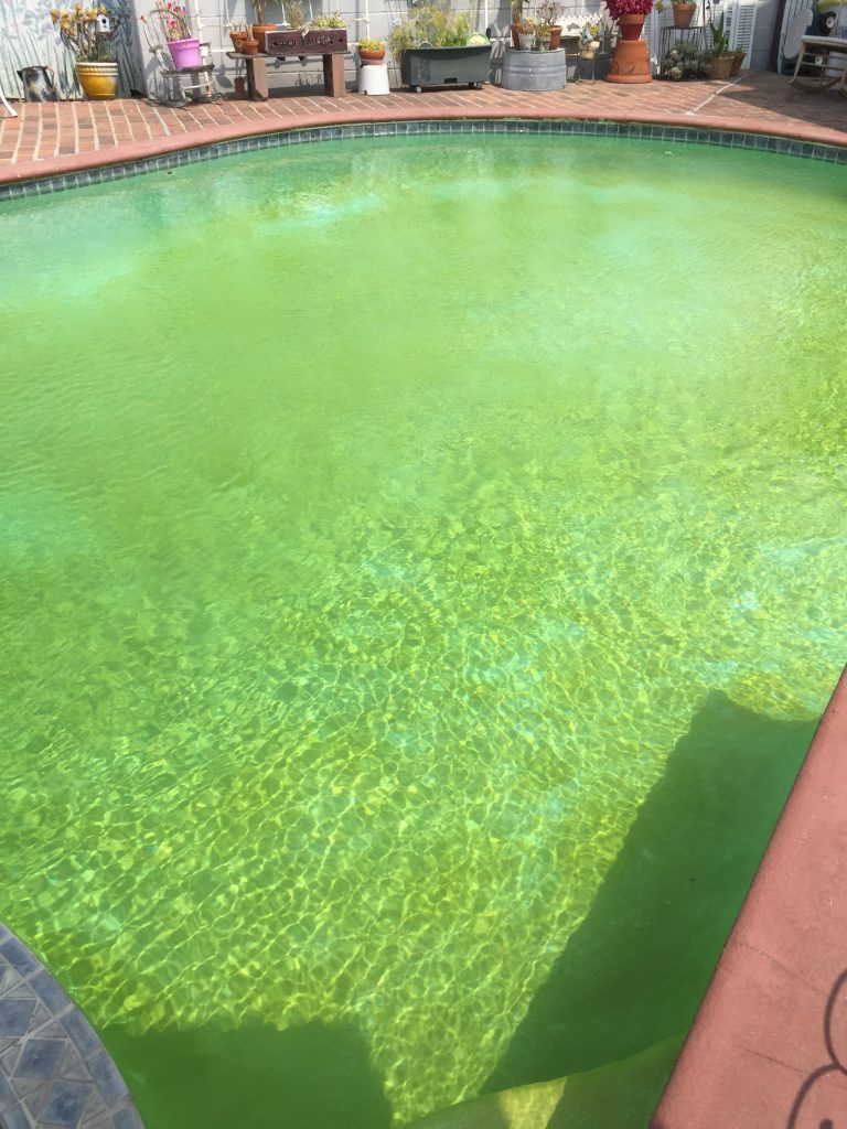 Microglass Pool Rescue on Residential Pool MicroGlass