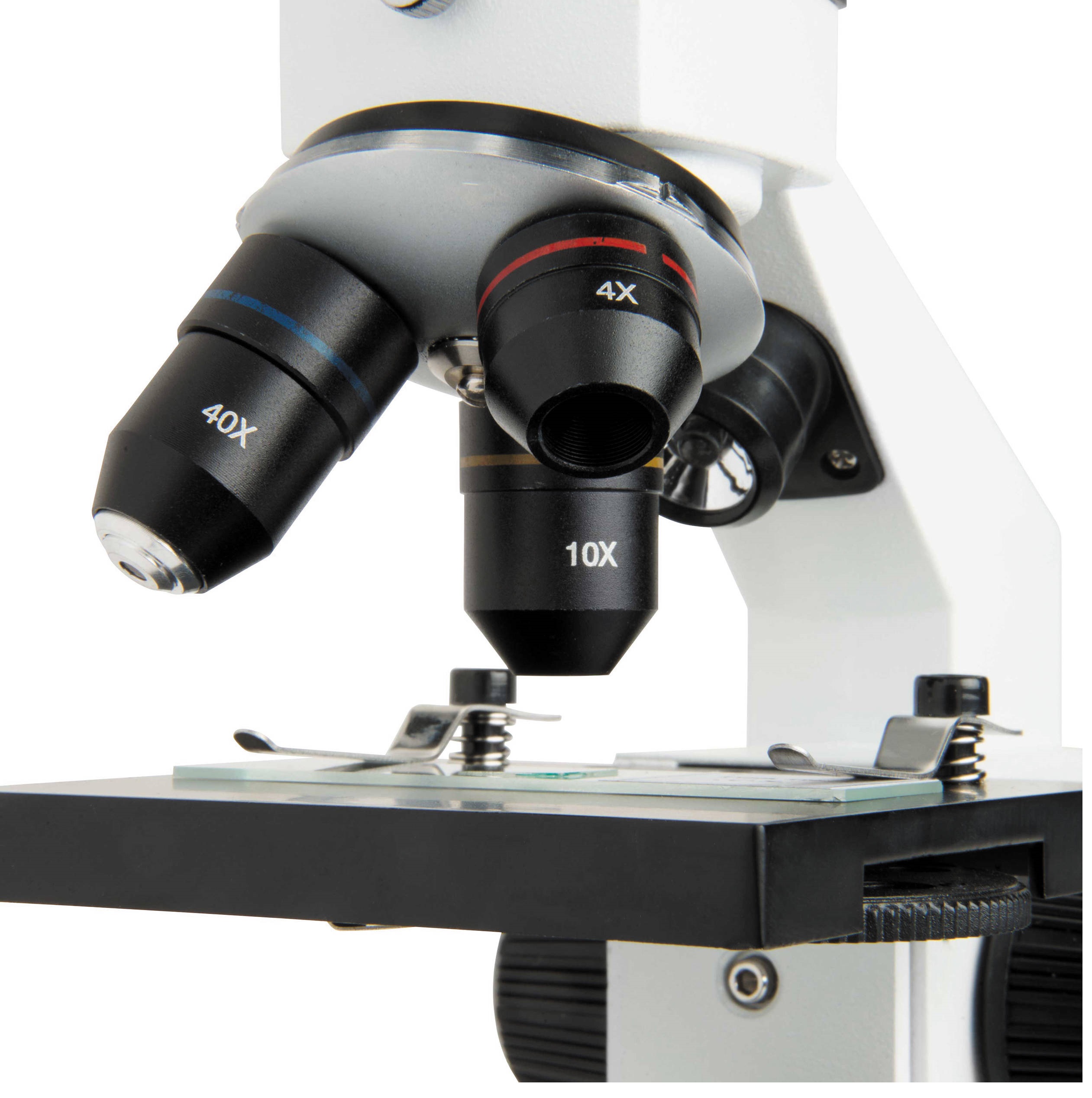 Celestron Labs CM800 Compound Microscope