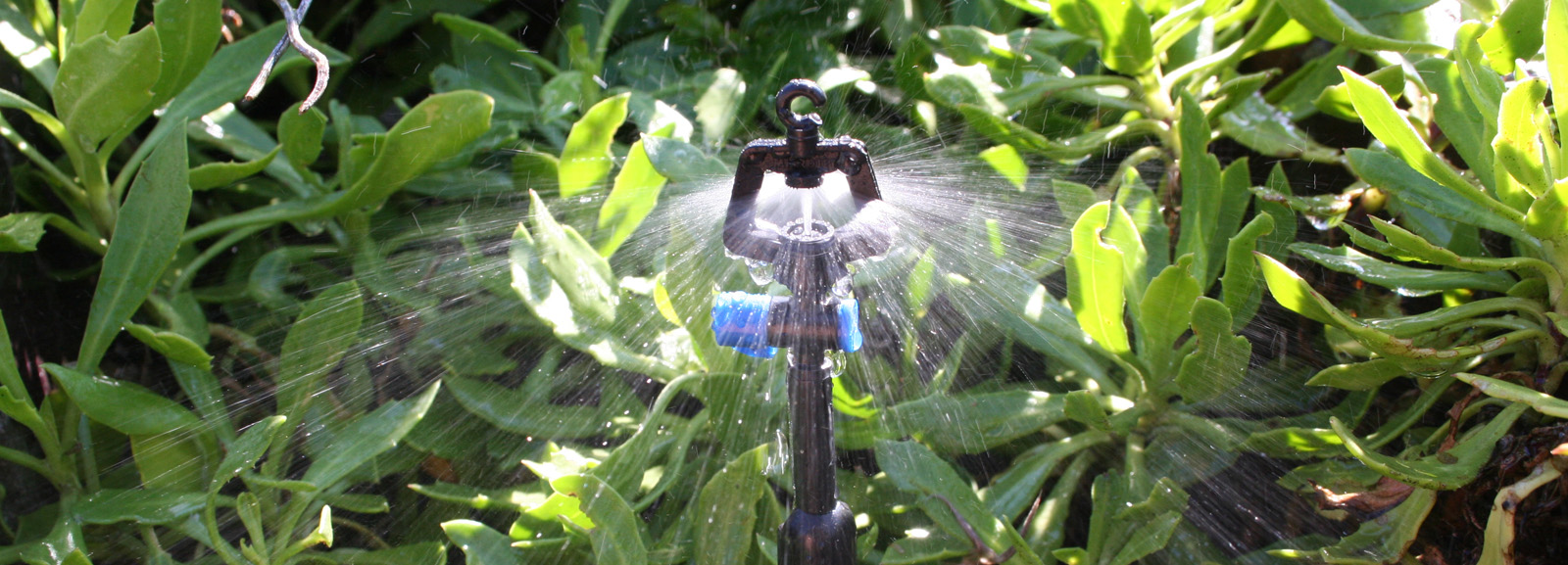 About Microjet Irrigation Systems