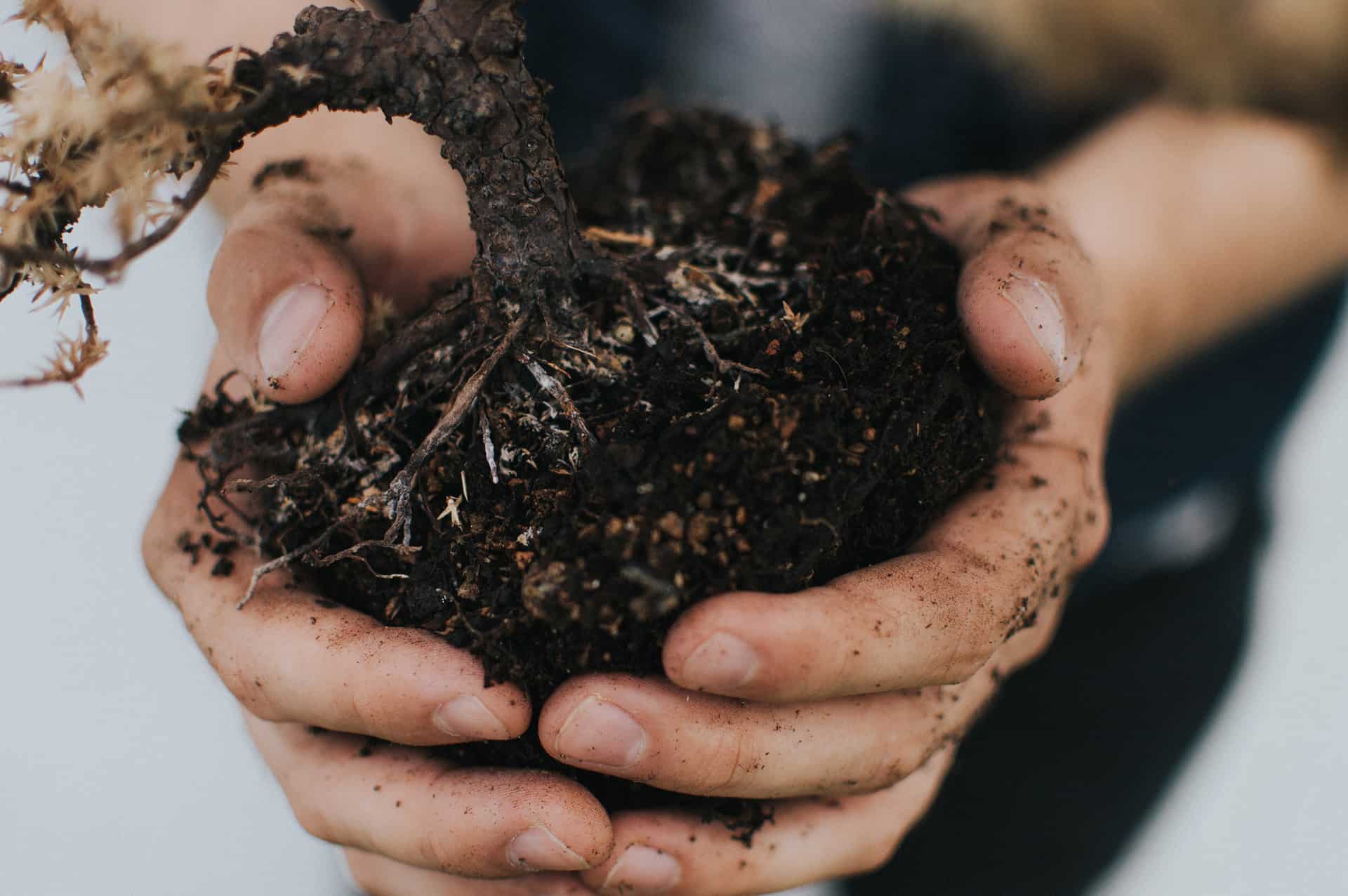 Soil Fertility Microlife Fertilizer