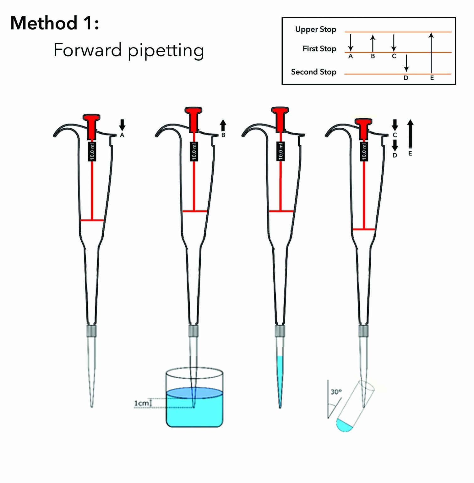 What is a Micropipette, How to use a Micropipette, Pipetting Technique