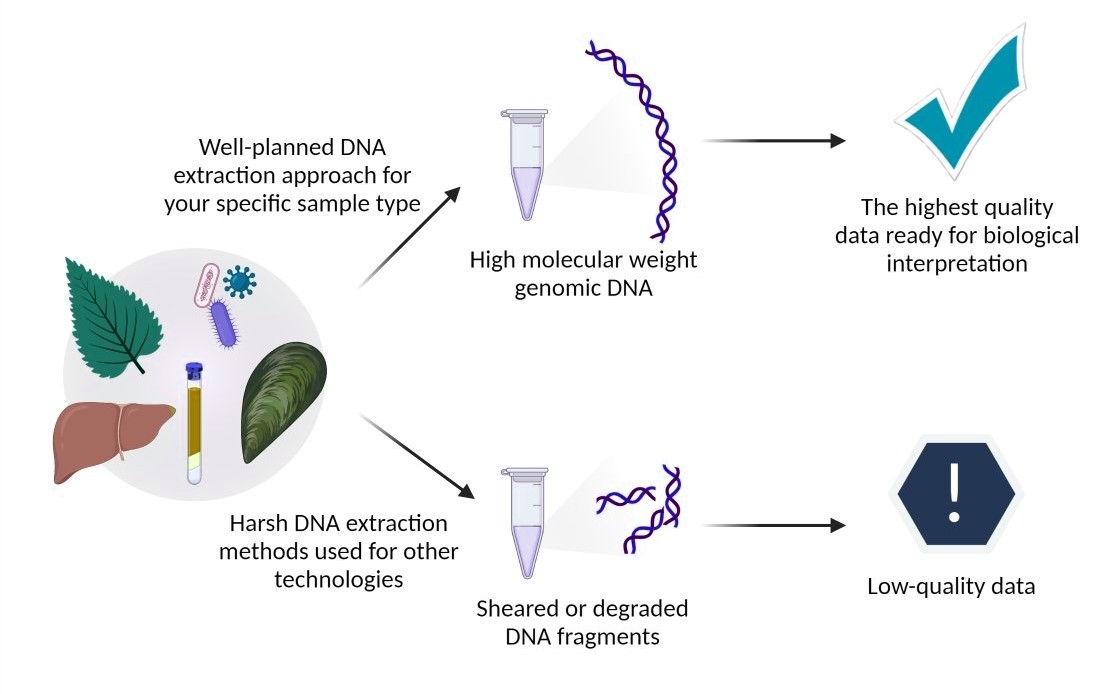 Liquid Handling in Genomics From DNA Extraction to Sequencing Microlit
