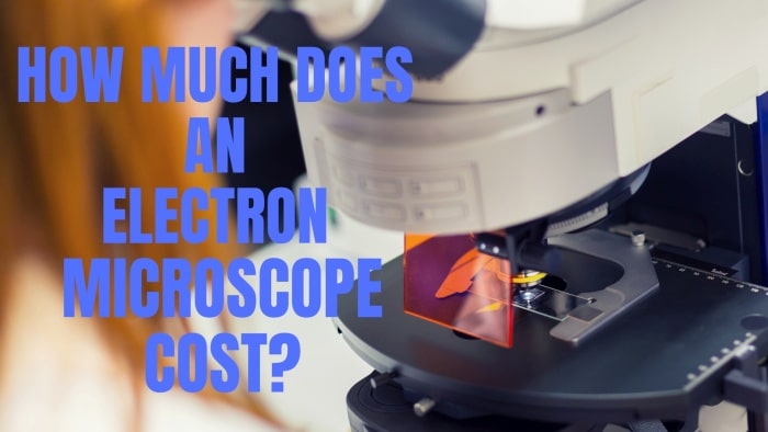 How Much Does An Electron Microscope Cost? » Microscope Club