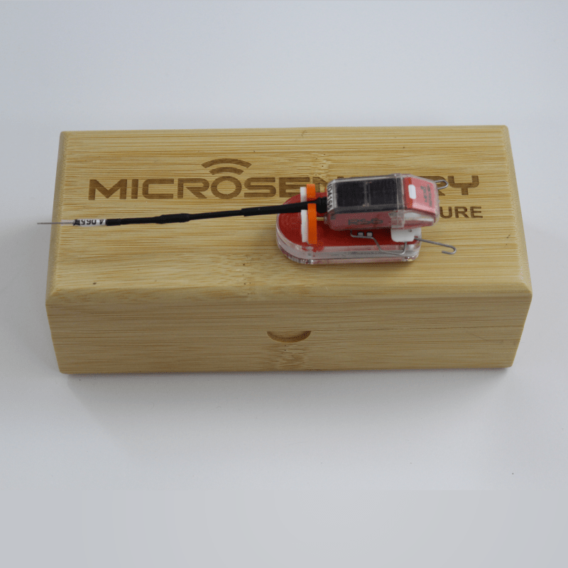 Transmisor RS6 GPS Radio y Panel Solar Microsensory