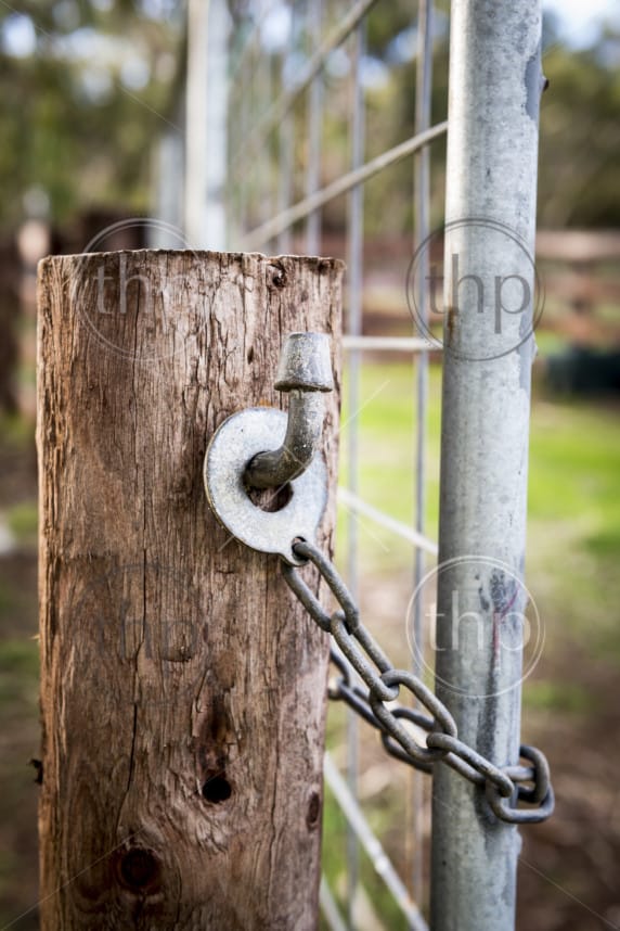 Classic Australian farm gate lock on a wooden post THPStock