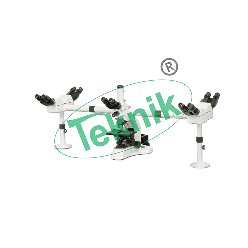 Microscope equipments multi viewing microscope