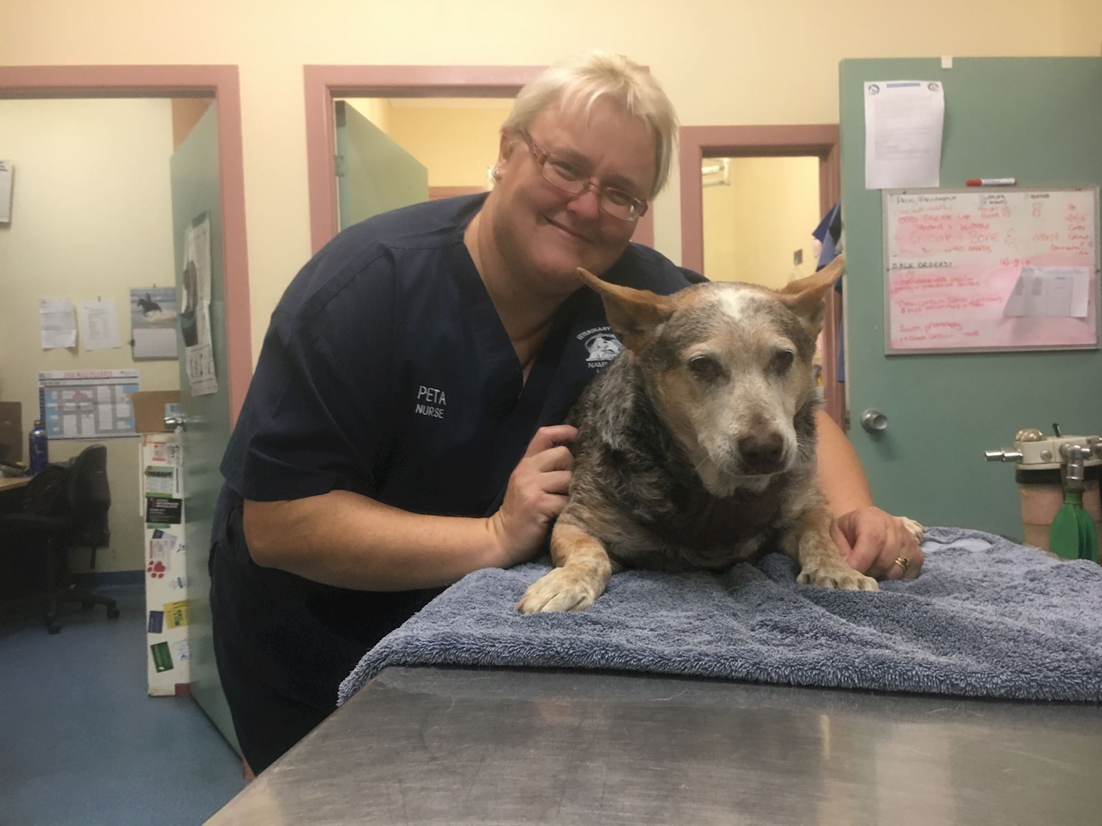 Our Macksville TeamMidcoast Vets