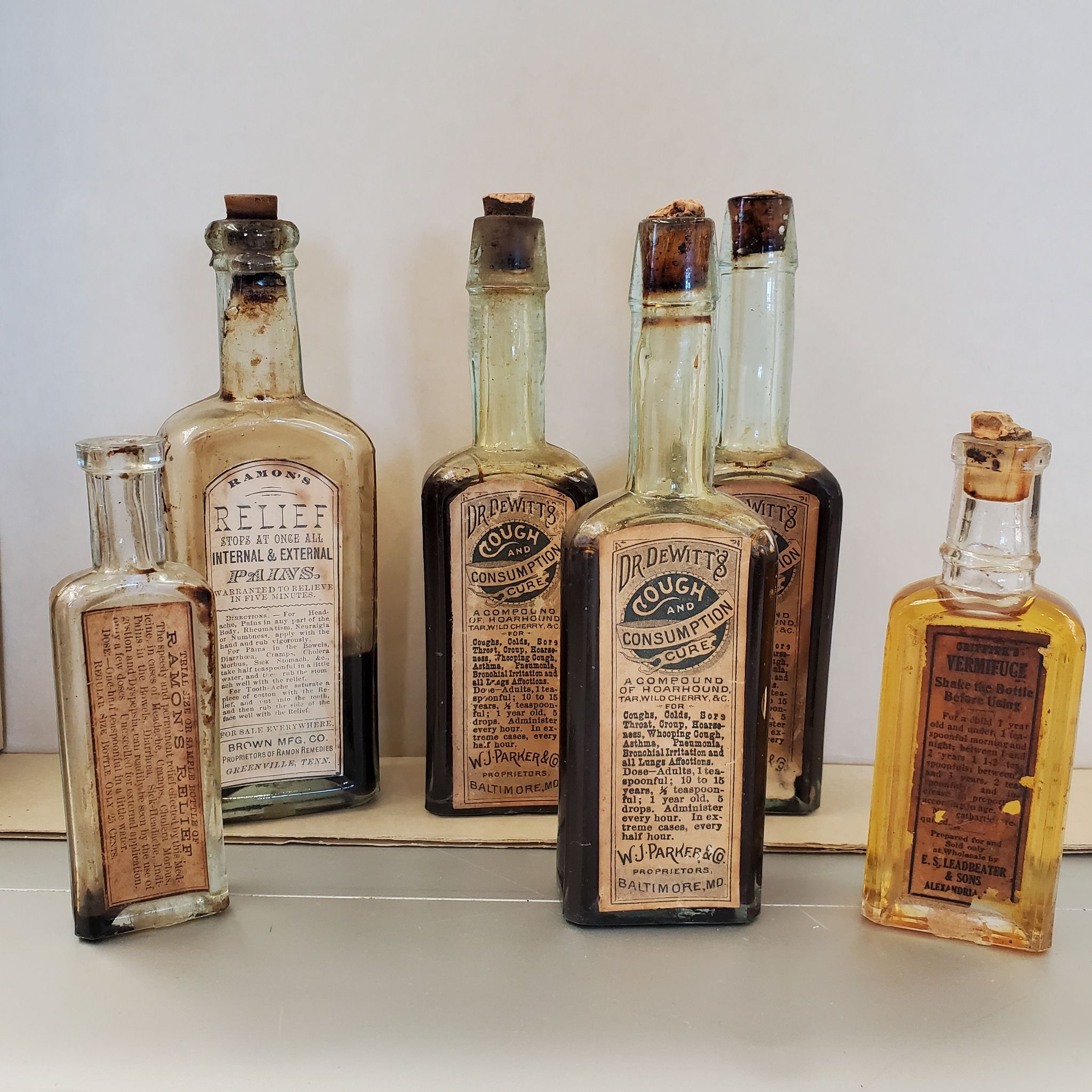 November Calendar Of Events Middleburg Life