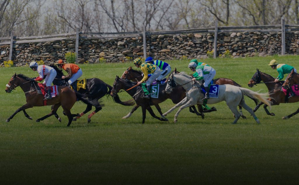 Horse Races Spring Steeplechase Middleburg, VA Middleburg