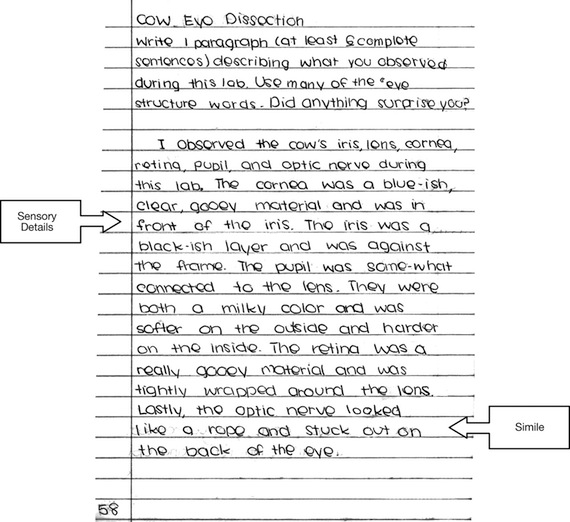 💄 Figurative language essay writing. Figurative Language Essays. 20190306