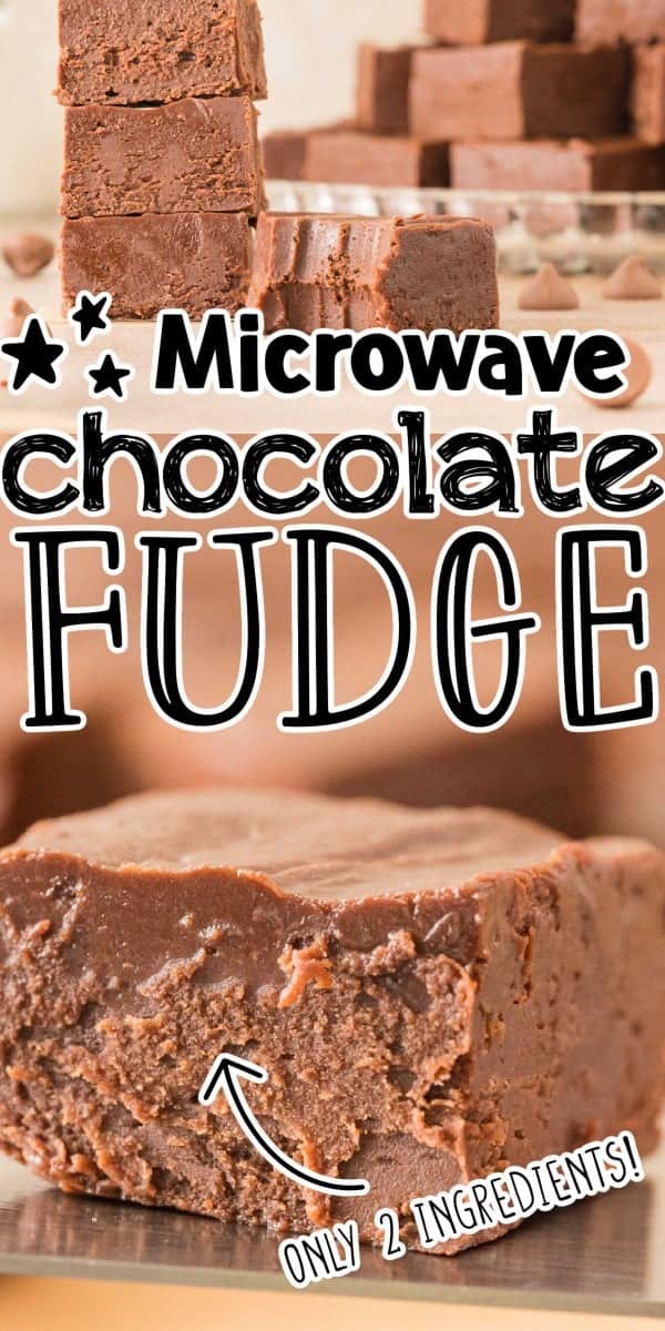 Easy Two Ingredient Chocolate Microwave Fudge Recipe