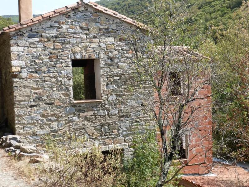 Languedoc Property Real Estate For Sale in France