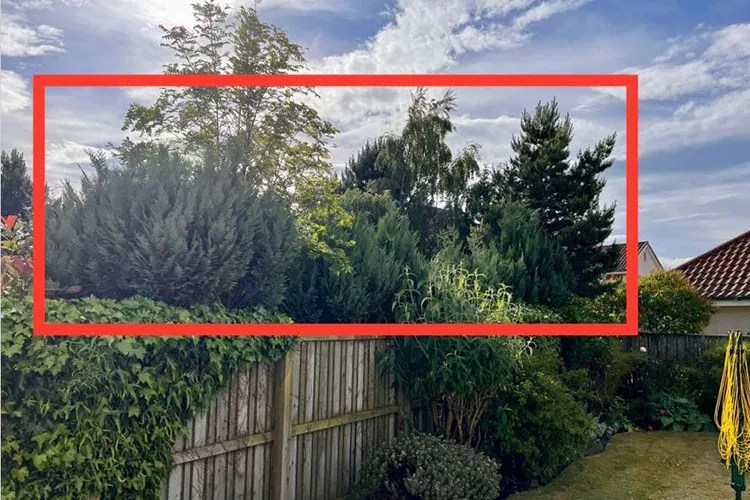 Scottish Ministers intervene in East Lothian hedge row Midlothian View