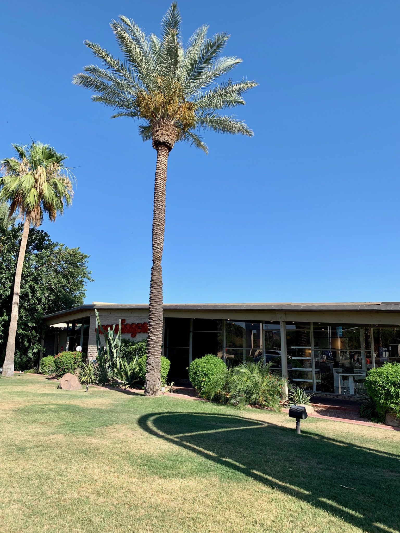 Copenhagen Imports by Ralph Haver Mid Mod Phoenix