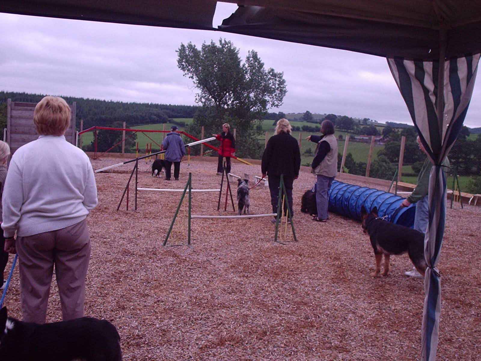 Mid Wales Dog Training