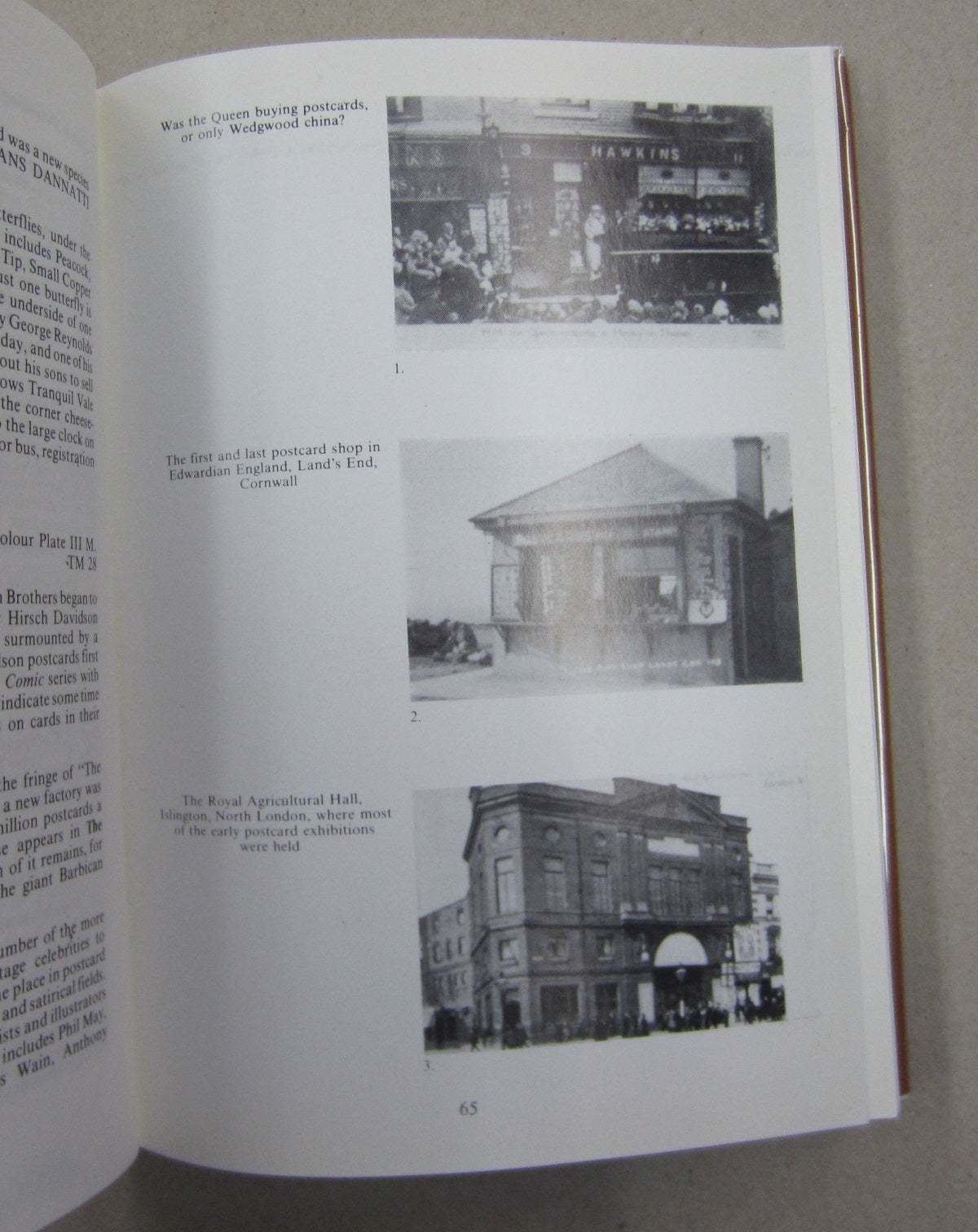 Picture Postcards and Their Publishers An Illustrated Account