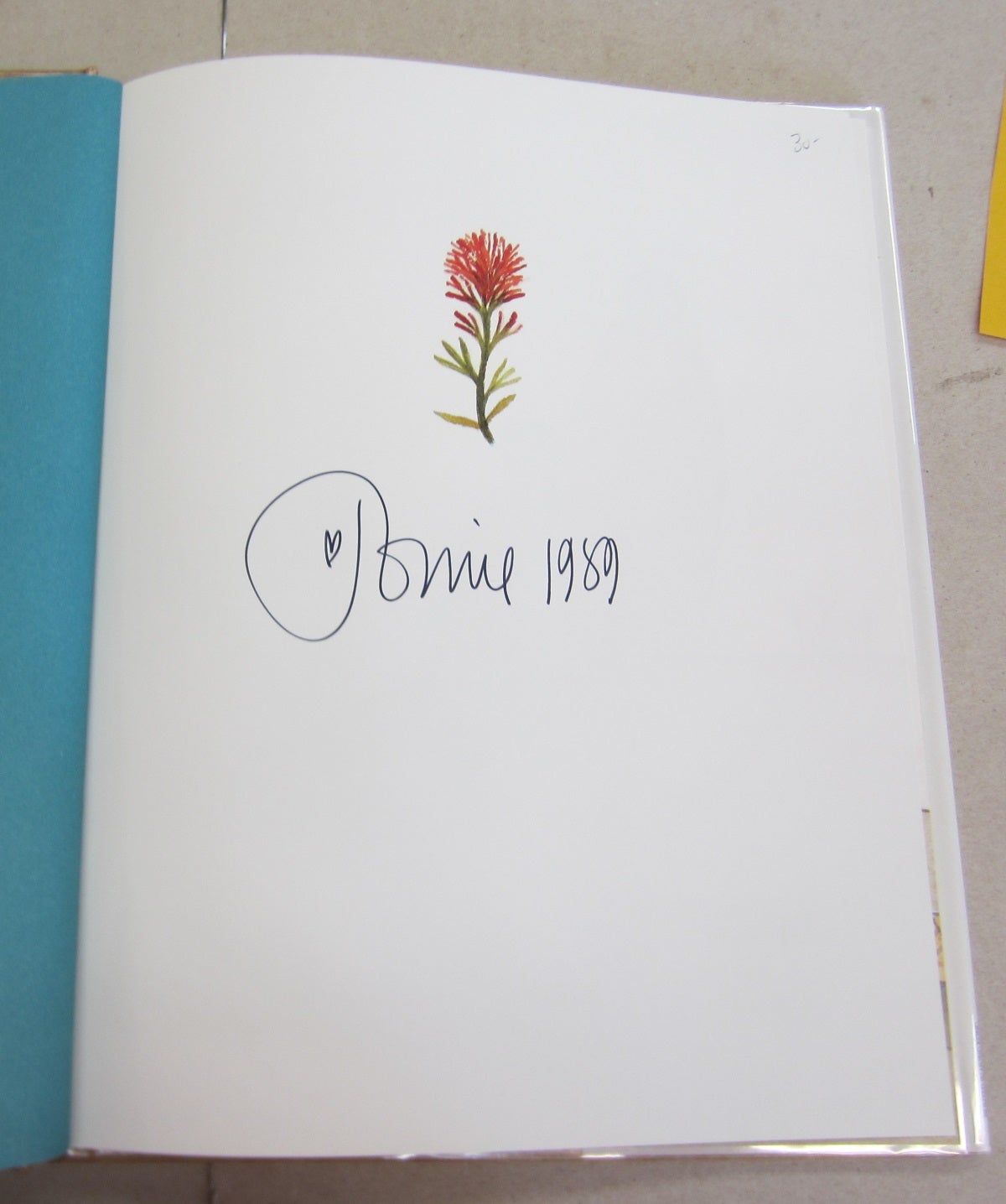 The Legend of the Indian Paintbrush Tomie dePaola Fourth Printing