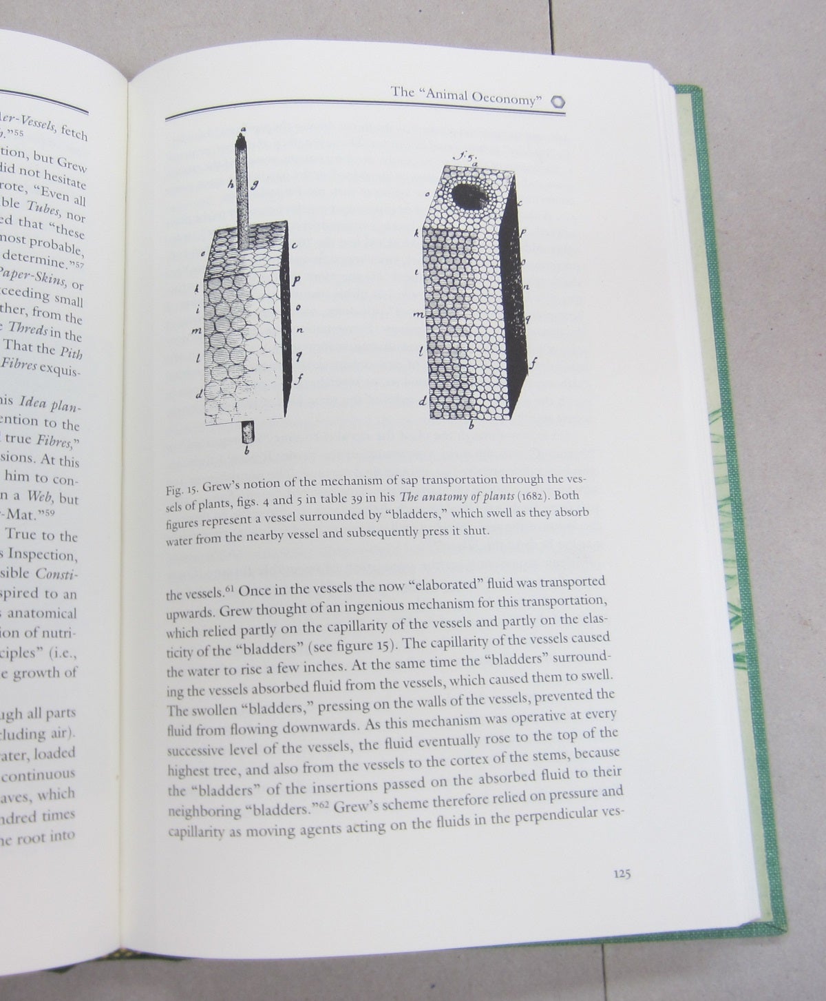 The Fabric of Life; Microscopy in the Seventeenth Century Marian