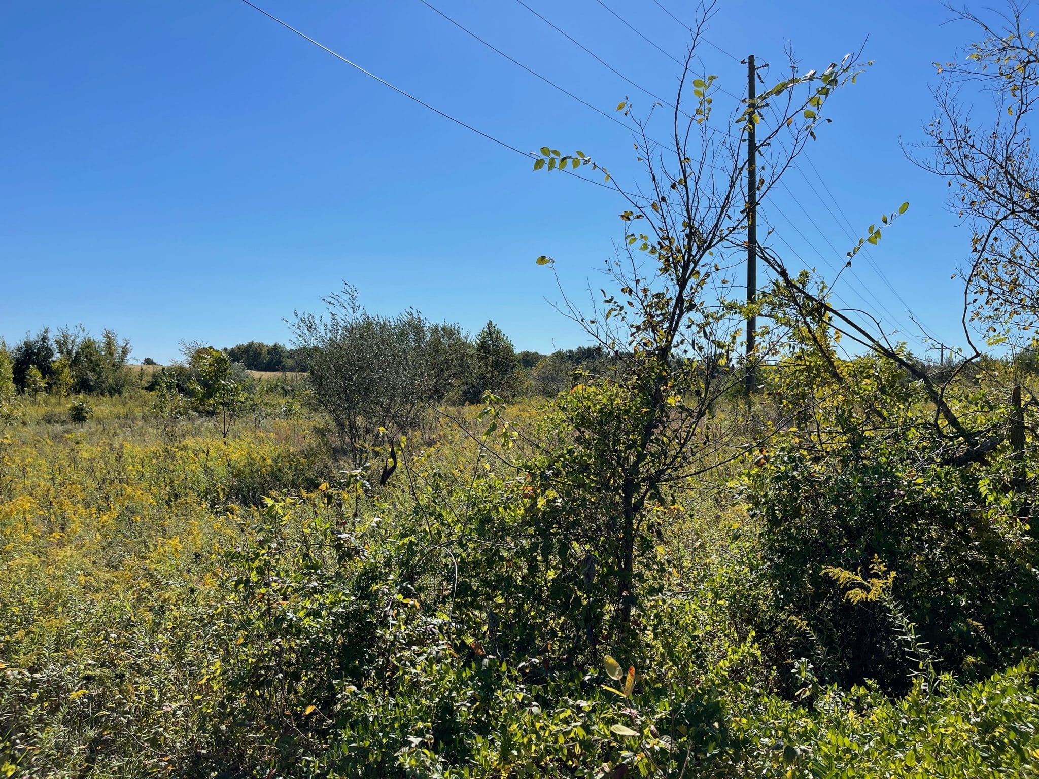 23085 Lane Midwest Farm and Land Co.