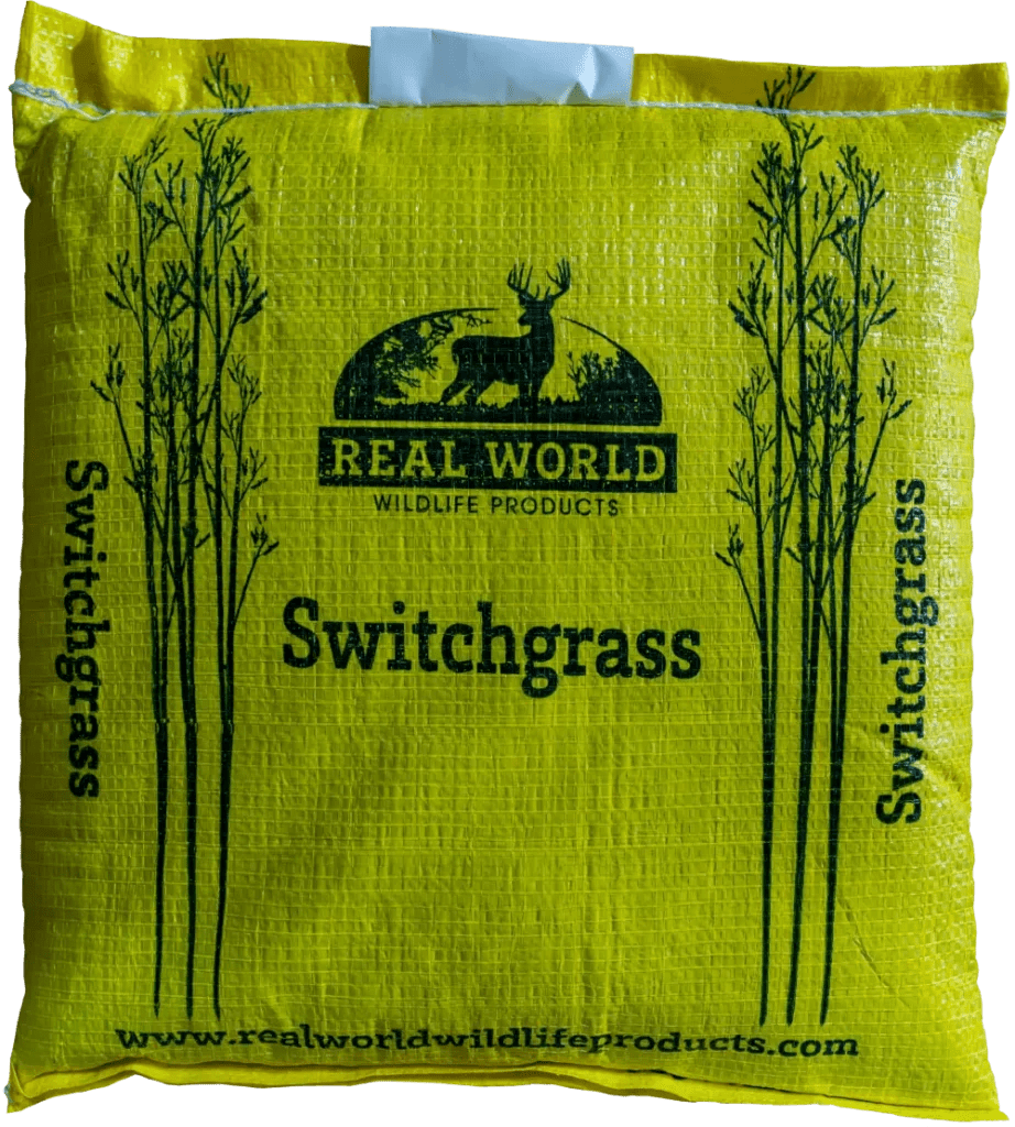 RWWP Switchgrass Michigan Food Plot Supply