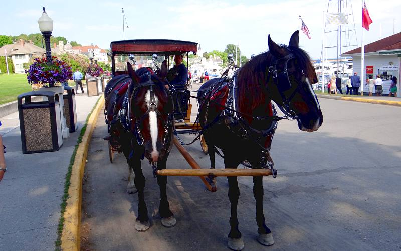 Mackinac Island Carriage Tours & Taxis Mackinac Island, Michigan