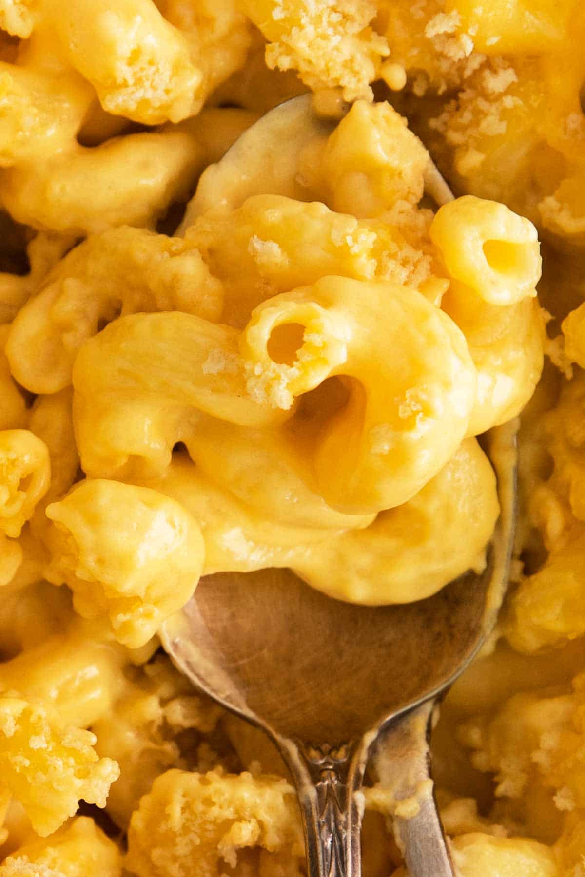 Baked Mac and Cheese with Bread Crumbs Mighty Mrs Super Easy Recipes