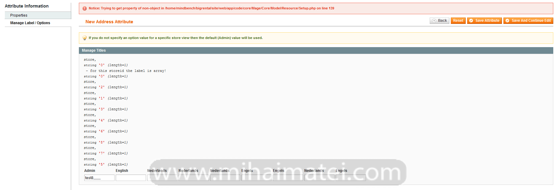 Amasty Address Attributes Magento Extension Bug Mihai MATEI