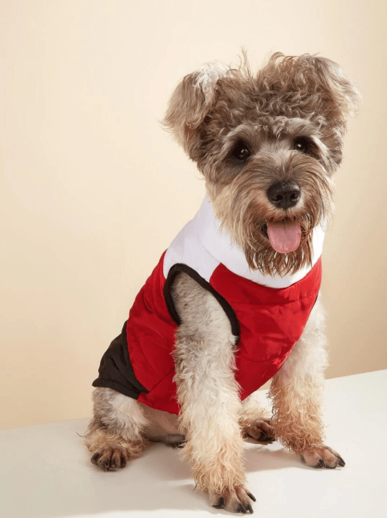 Trinity Pet Jacket Outdoor Dog Jacket Outdoor Cat Jacket Dog