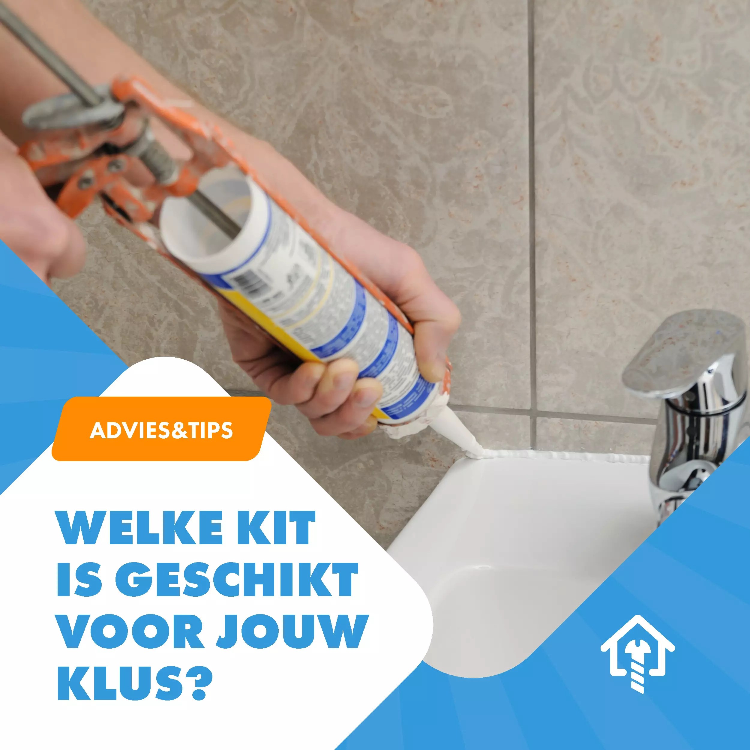 Kitten welke soorten zijn er en welke kies je?