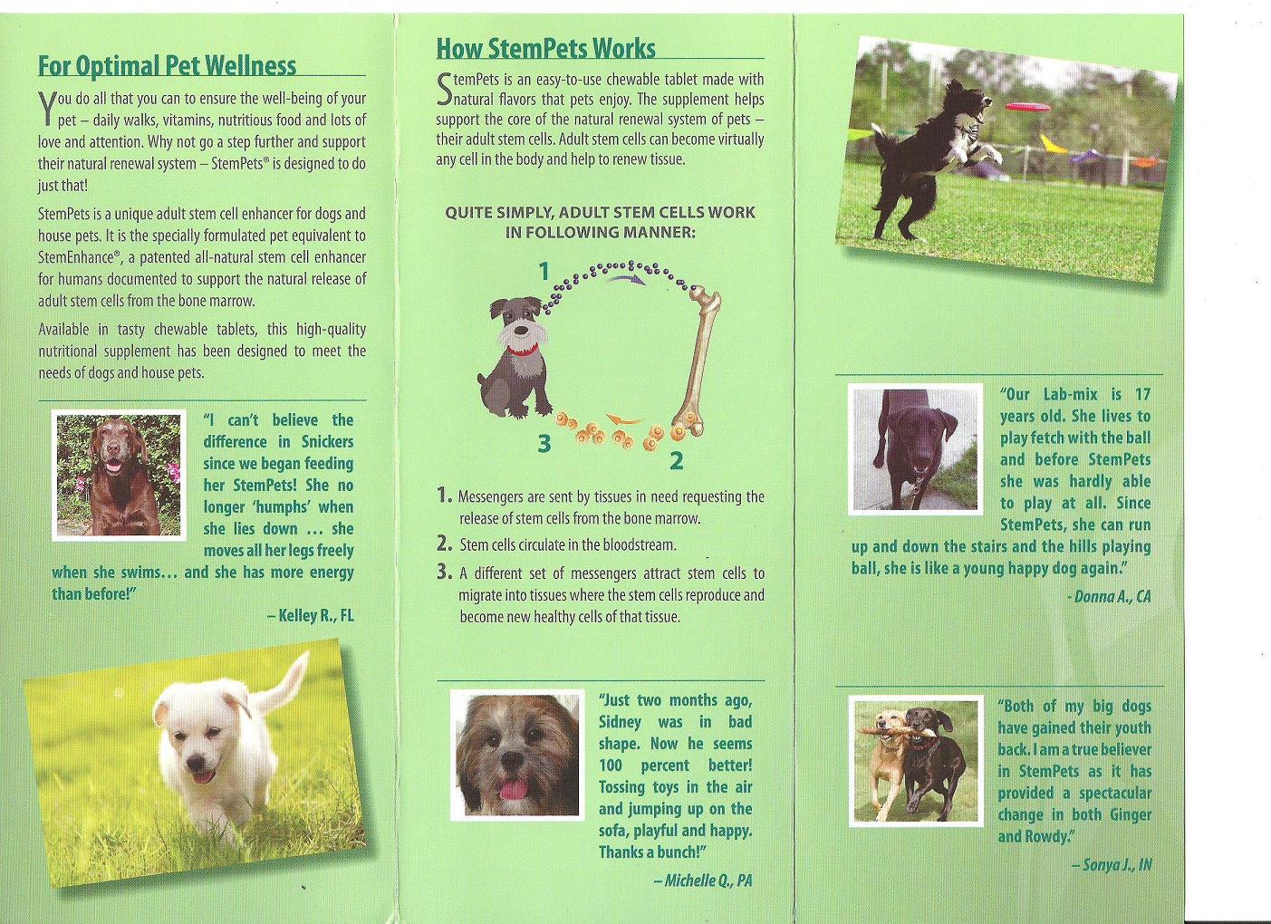 Mijoy Yorkies and Mijoy Biewers News Yorkshire pups for sale