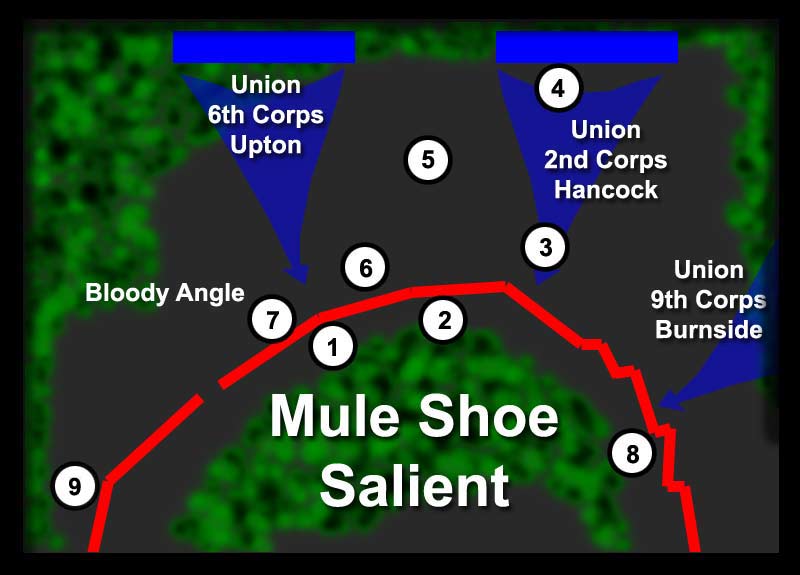 The Battle of Spotsylvania Court House The Mule Shoe Salient