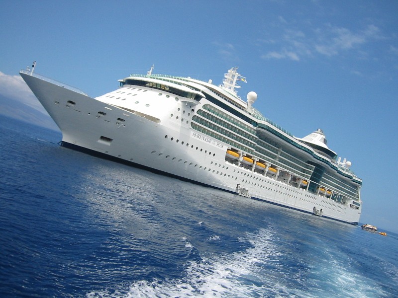 Royal Caribbean Radiance Class Ships