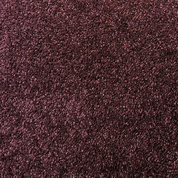 Lush Cashmere Touch Carpet Installation, Supplier & Wholesaler in