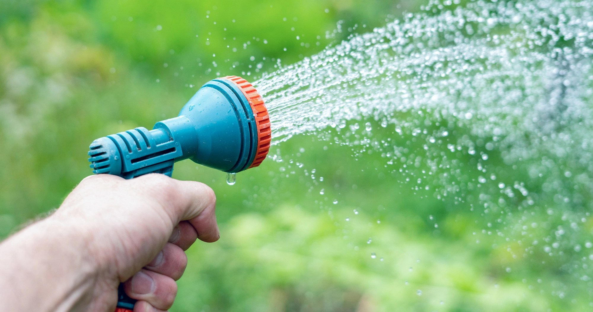 What’s the Best Time to Water Grass During Summer? Mike's Evergreen, Inc.