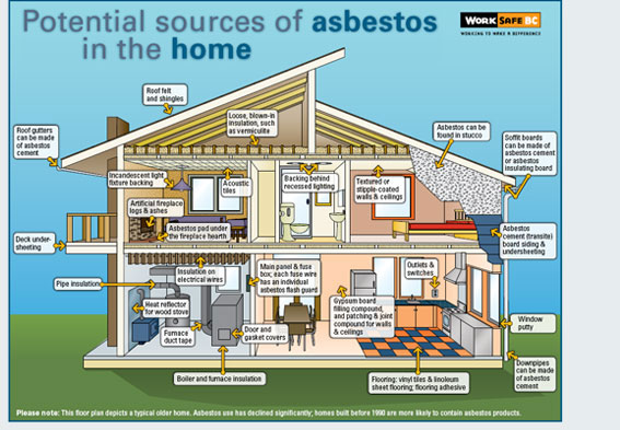Asbestos, Home Inspections & Vancouver Houses Mike Stewart
