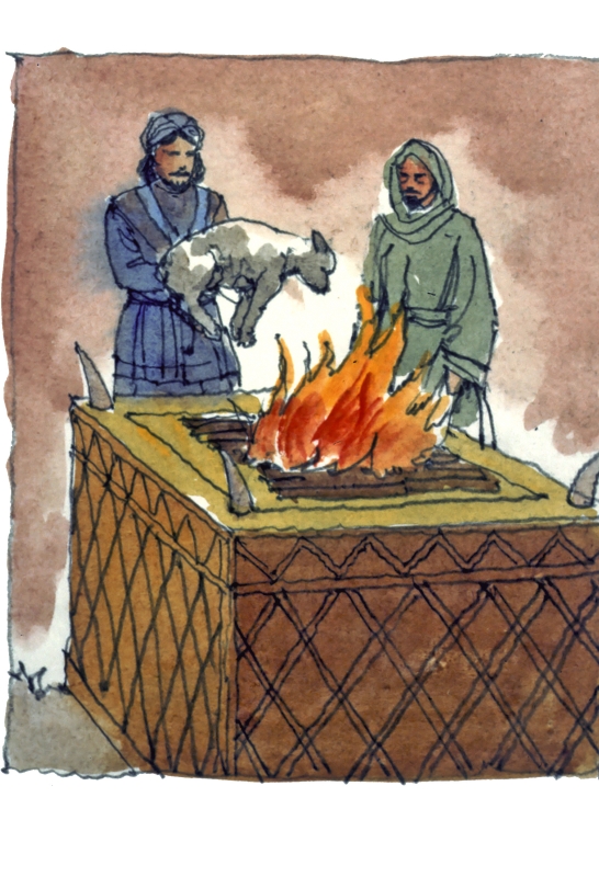 God instruction for obedience Day 9 MIKESZONE