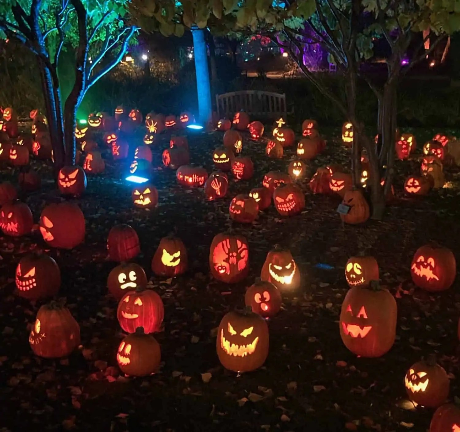 Get Discounted Tickets Early for Magic of the Jack O’Lanterns at Hudson Gardens Mile High on