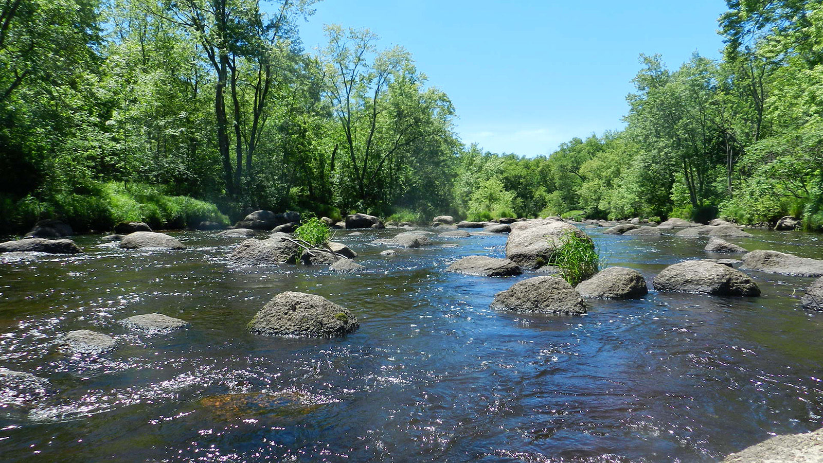 Eau Claire River (Marathon) Miles Paddled