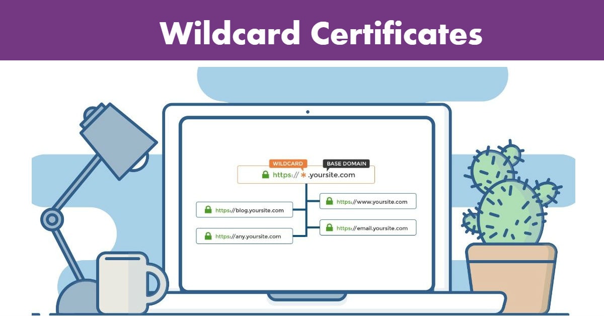 Wildcard Certificates Definition, Importance, Prerequisites, Steps to