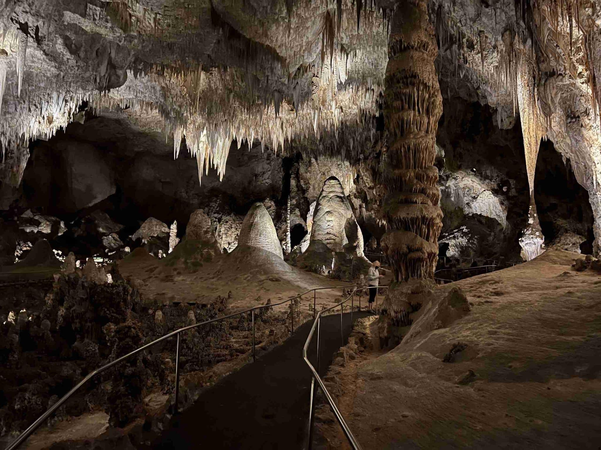 Carlsbad Caverns National Park What You Need to Know