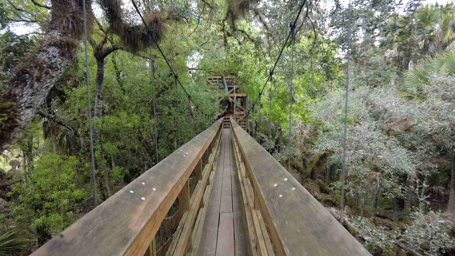Myakka River State Park Canopy Walk Try Something New