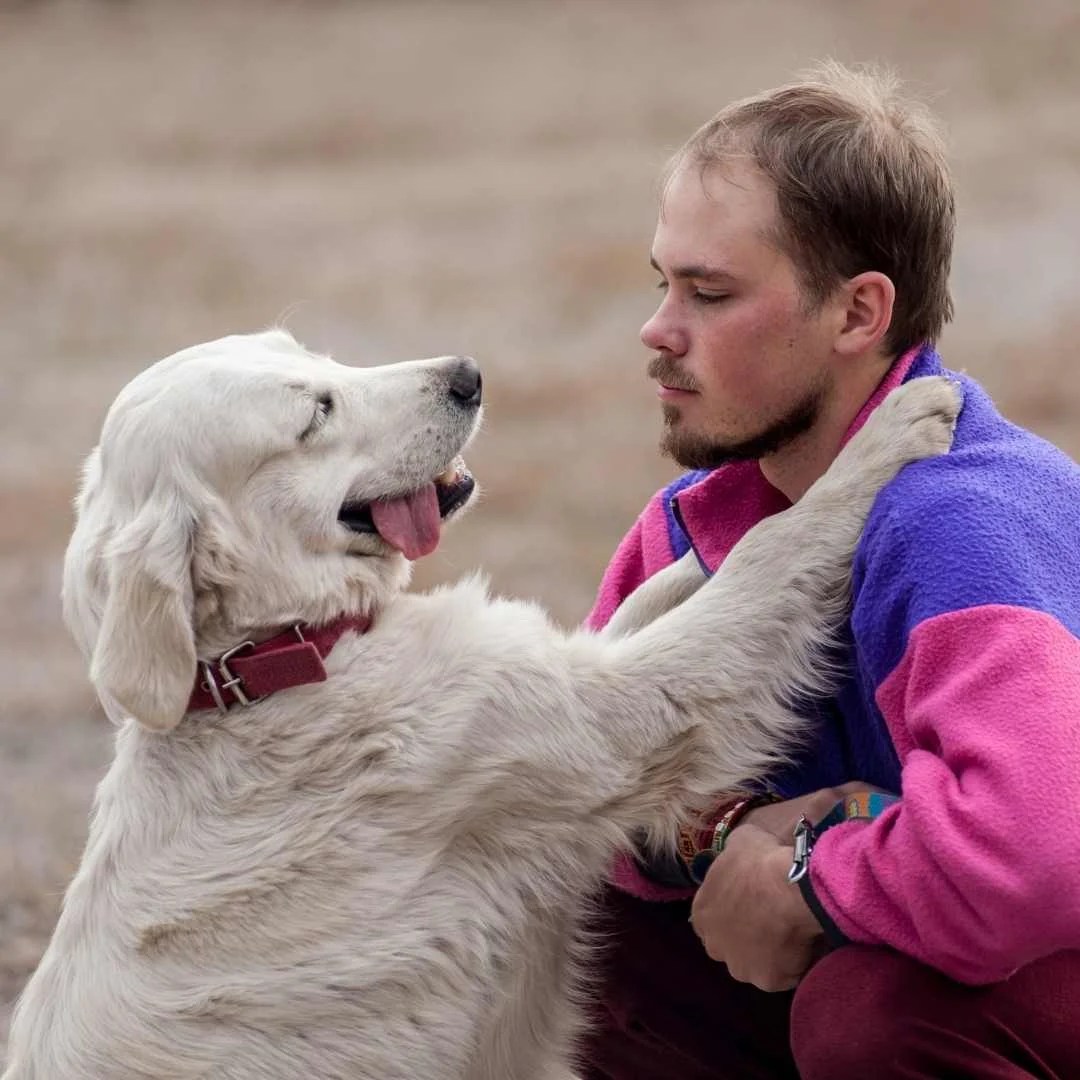 9 Ways to Establish trust with your dog Miles with Pets