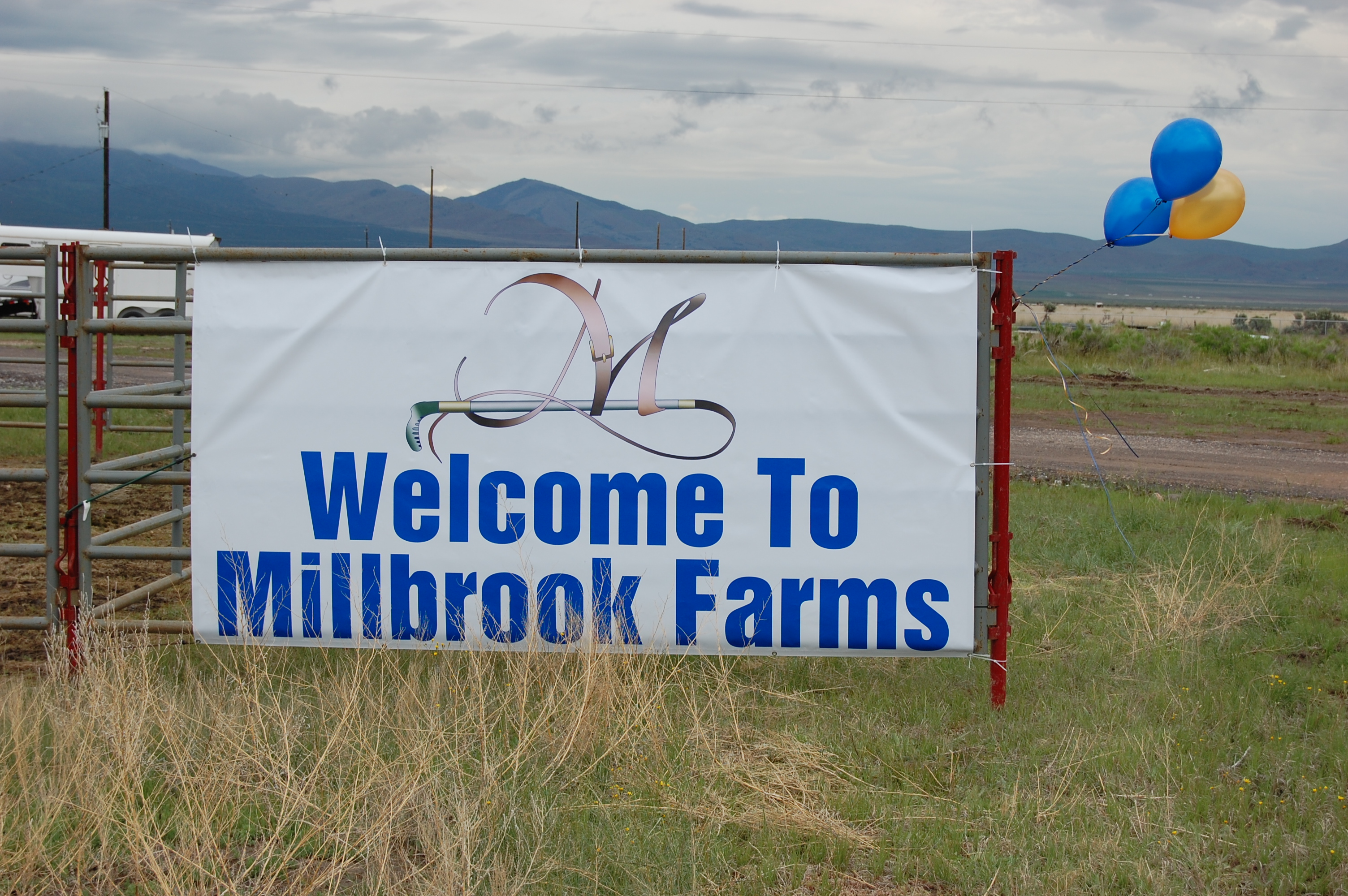 Millbrook Farms