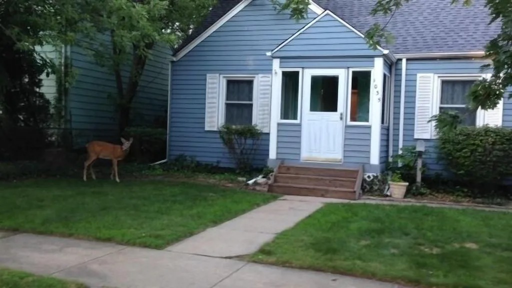 Miller Beach Vacation Homes