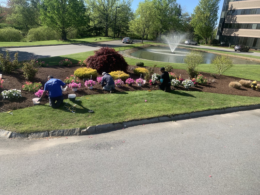 Miller Landscaping, Inc. Flower Photos