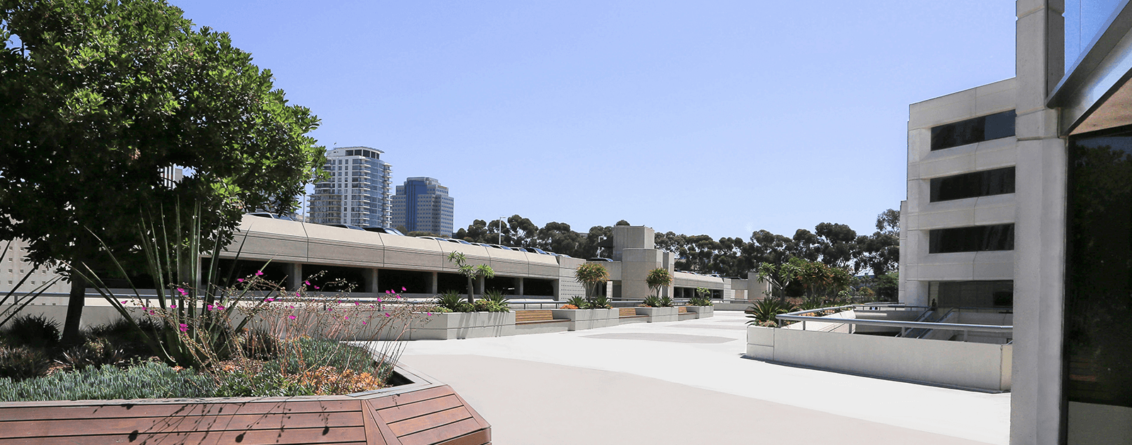 Long Beach Miller Nash LLP