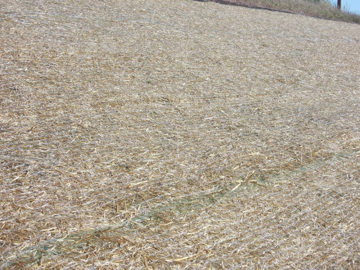 Degradable Erosion Control Blankets Miller Seed Company