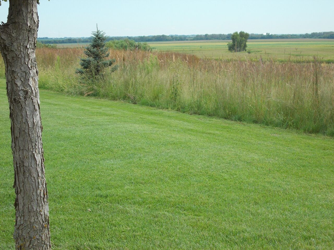 GrassesMillerSeedunspecified25 Miller Seed Company