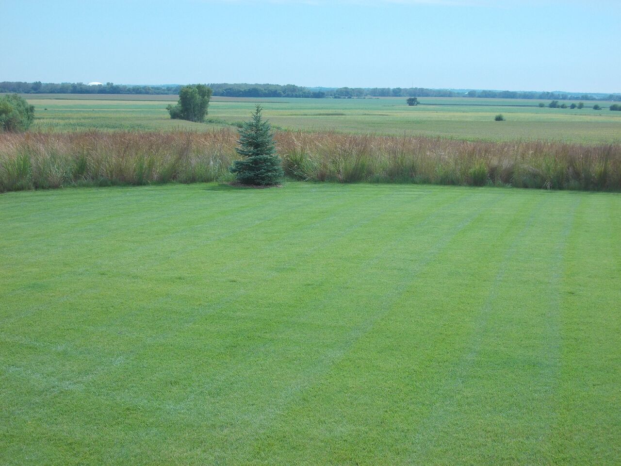 GrassesMillerSeedunspecified27 Miller Seed Company